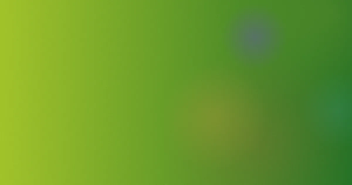 妮娜推荐：新手这样选